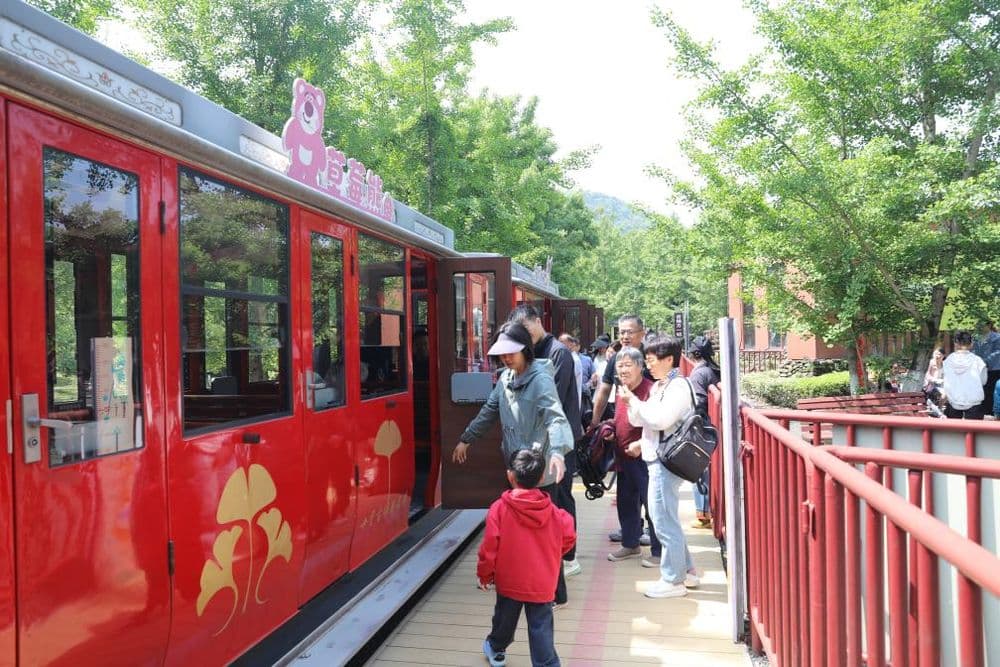 从“各自为战”到“握指成拳”——浙江乡村片区组团重塑共富新空间