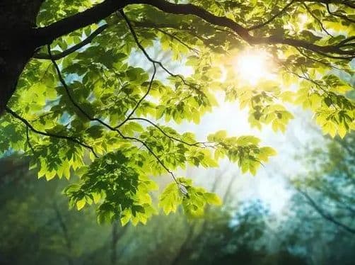 和谐共生！世界生物圈保护区大会首次在中国举办