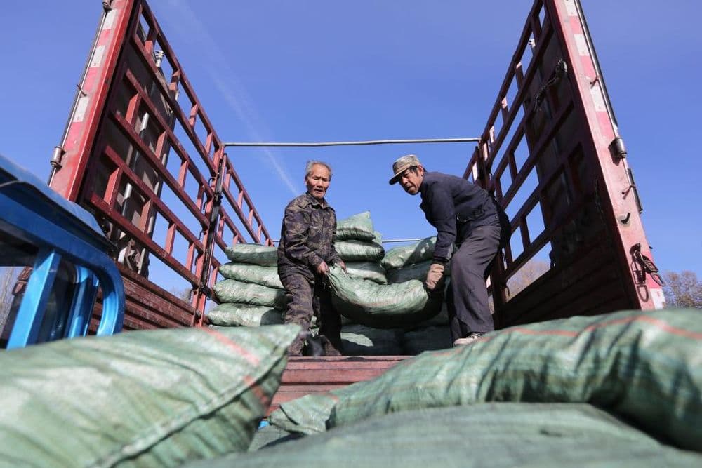 甘肃定西：开展“问暖”“送暖”“助暖”活动，保障困难群众温暖过冬