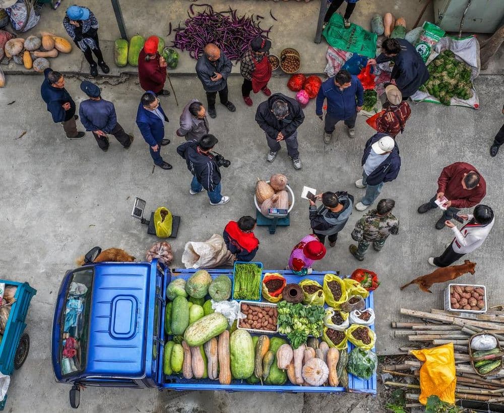 杭州10多家爱心餐饮企业发起公益收菜计划,温暖山村留守老人