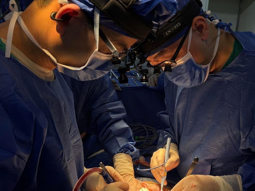 广西壮族自治区人民医院:“一肝救两命”开启的珍贵“新生”