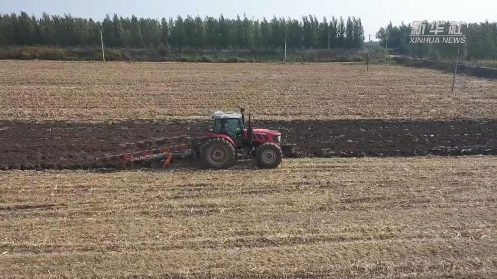 山东高密:抢烘秋粮 农技人员整地散墒备秋播