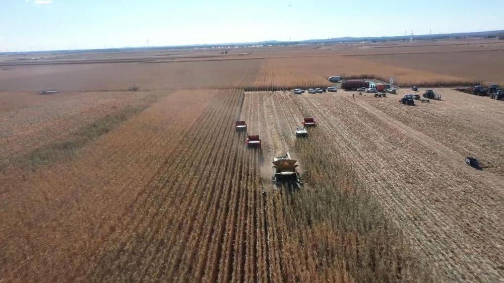 内蒙古突泉县:把科学储粮作为节粮减损的重要抓手,科技储粮助农增收