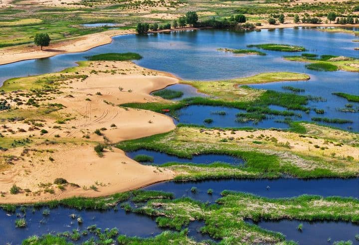 黄河“几字弯”生态保护启示录——来自内蒙古防沙治沙一线的调查报告