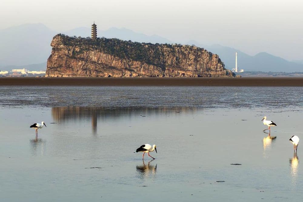 江西省湖口县鄱阳湖鞋山水域:鄱湖如画 候鸟翔集