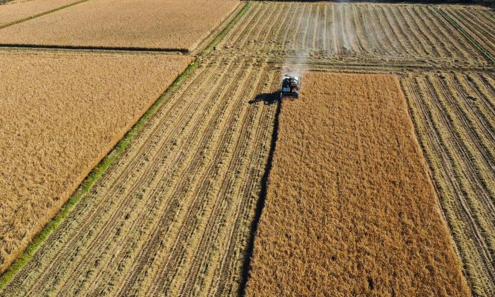 各地农民抢抓农时加紧收获,处处是喜人的秋日好“丰”景